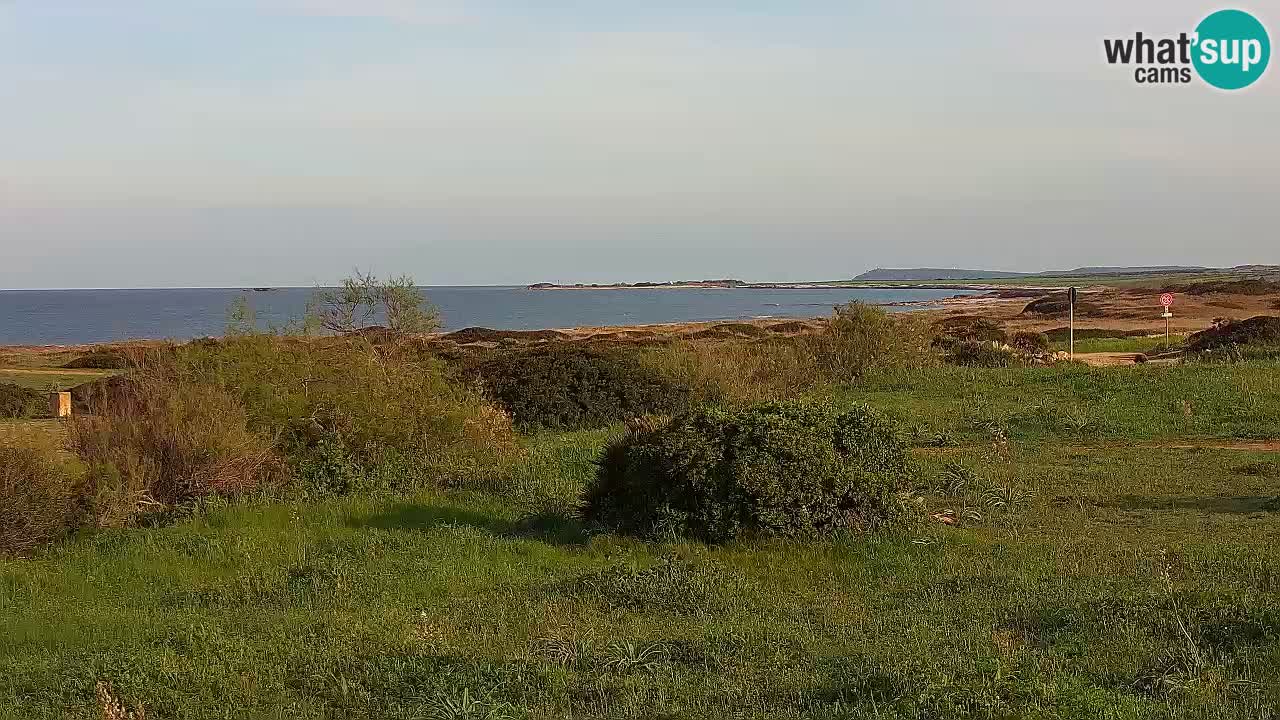 Plaža Mari Ermi | Is Arutas – Oristano