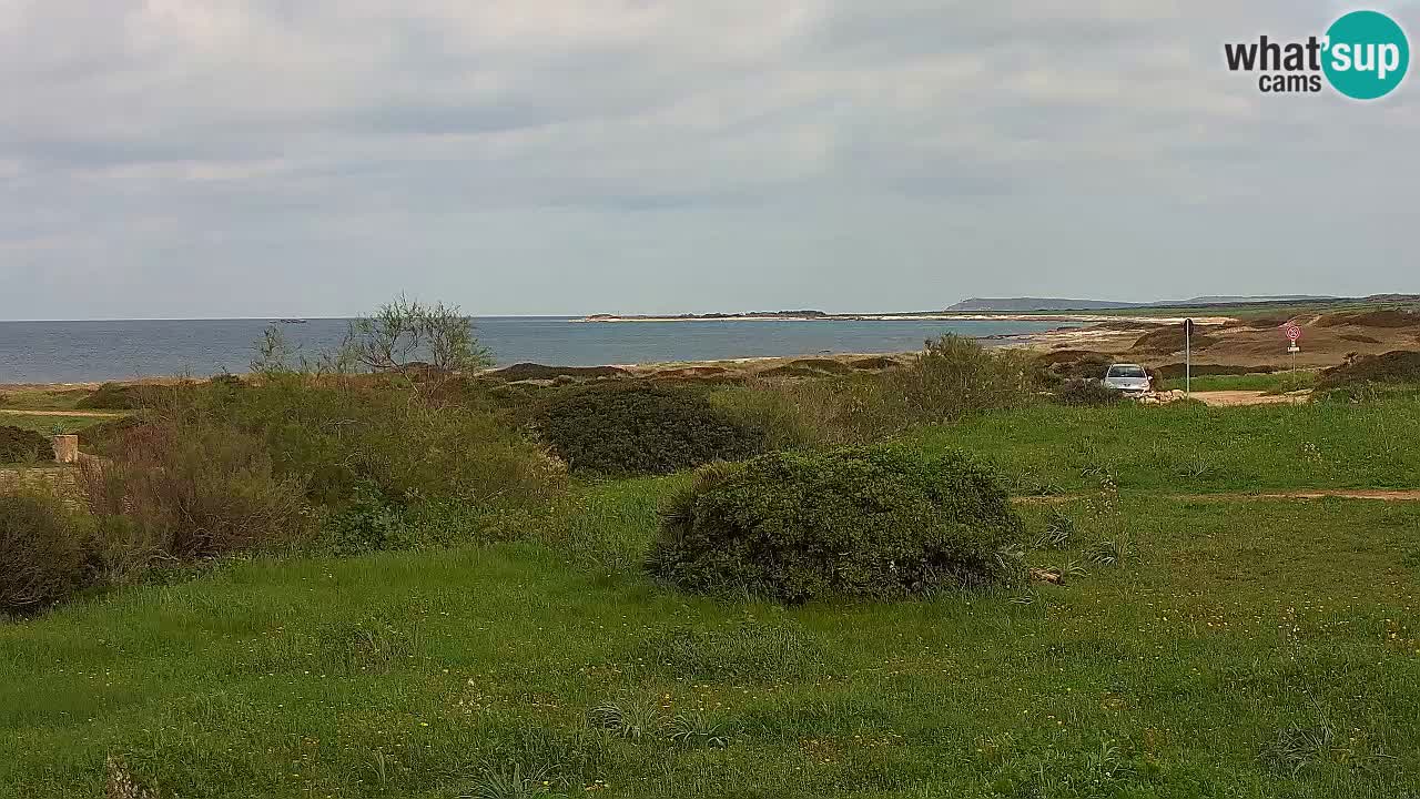 Spiaggia Mari Ermi | Is Arutas – Oristano