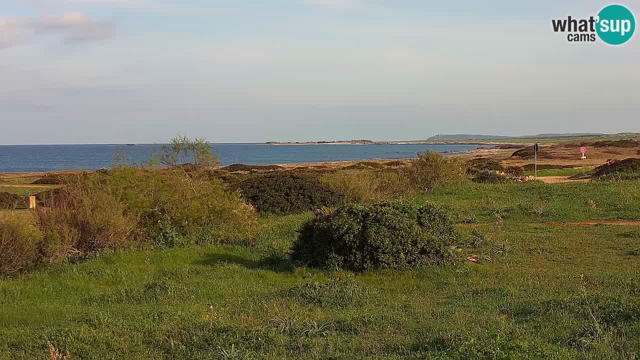 Plage Mari Ermi | Is Arutas – Oristano