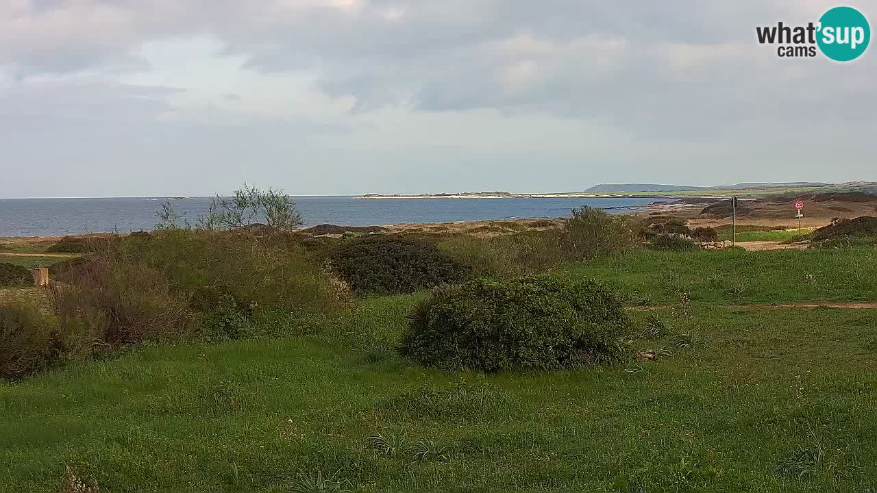 Mari Ermi beach | Is Arutas – Oristano