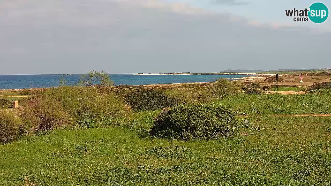 Plaža Mari Ermi | Is Arutas – Oristano