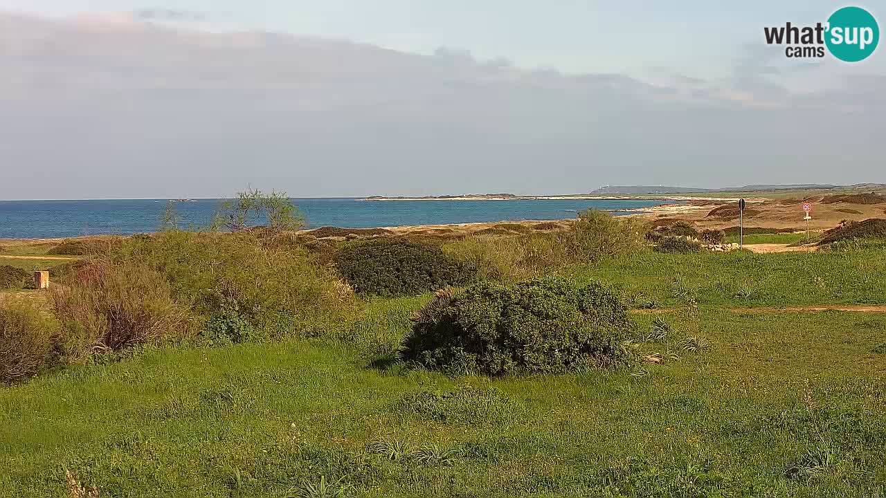 Mari Ermi beach | Is Arutas – Oristano