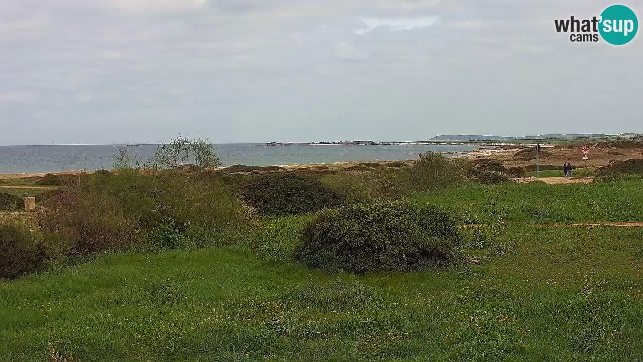 Mari Ermi Strand | Is Arutas – Oristano