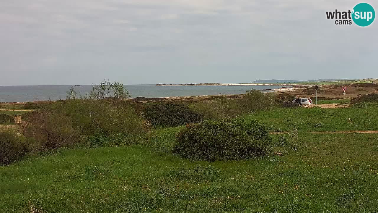 Plage Mari Ermi | Is Arutas – Oristano