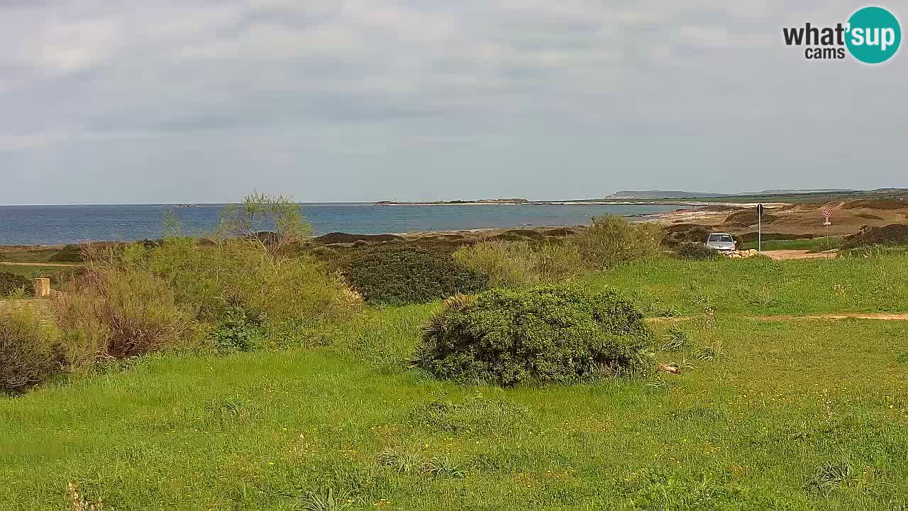 Playa Mari Ermi | Is Arutas – Oristano