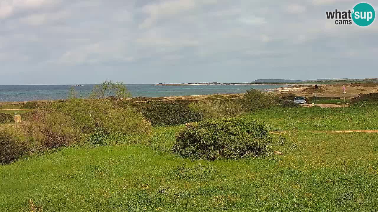 Plage Mari Ermi | Is Arutas – Oristano