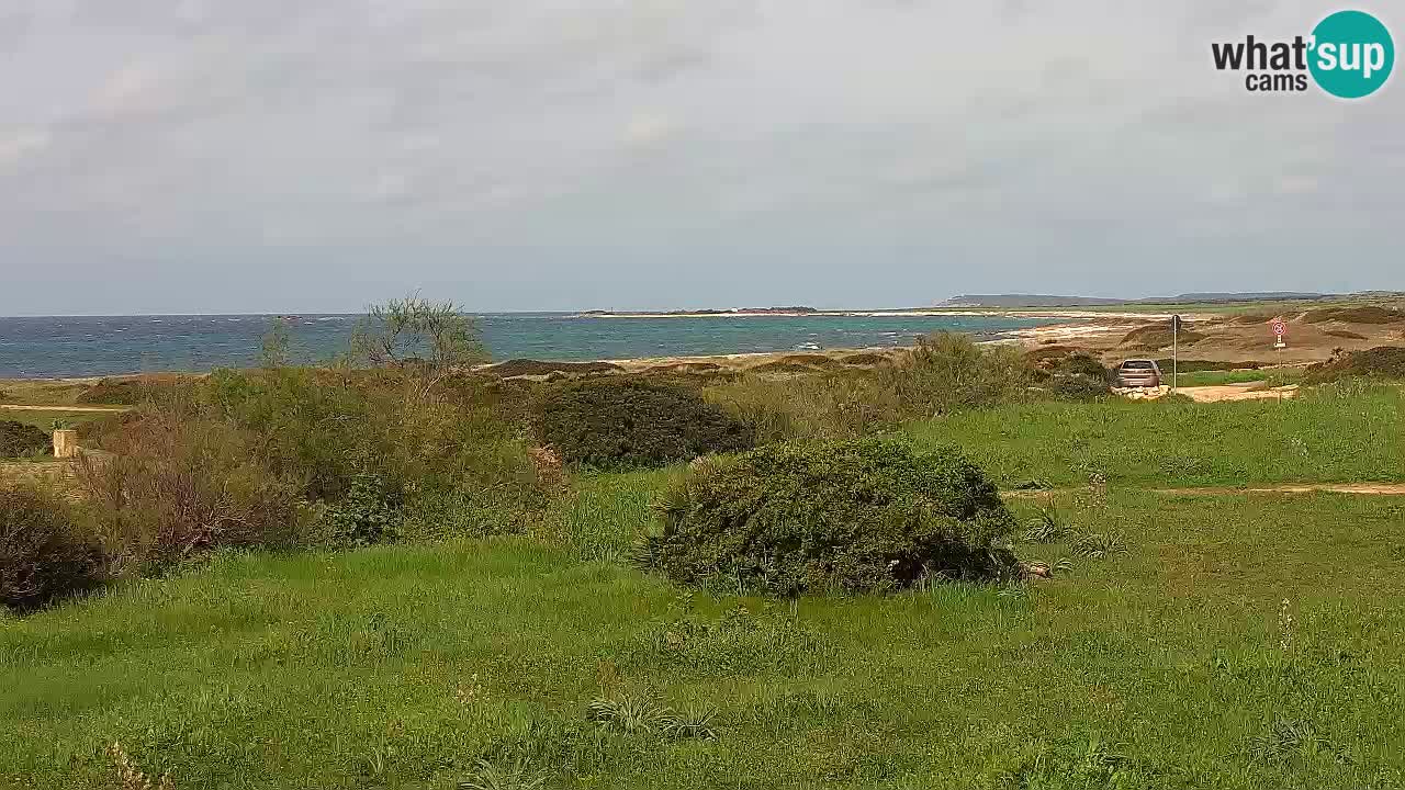 Playa Mari Ermi | Is Arutas – Oristano