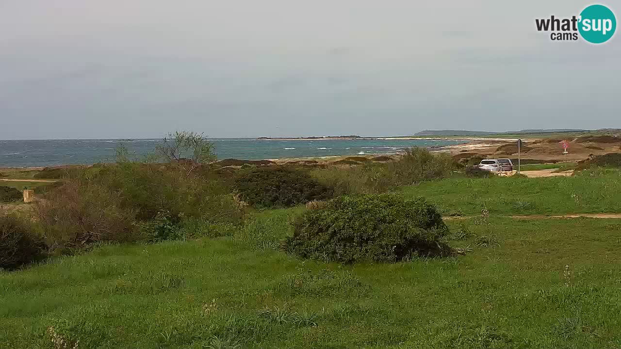 Plaža Mari Ermi | Is Arutas – Oristano