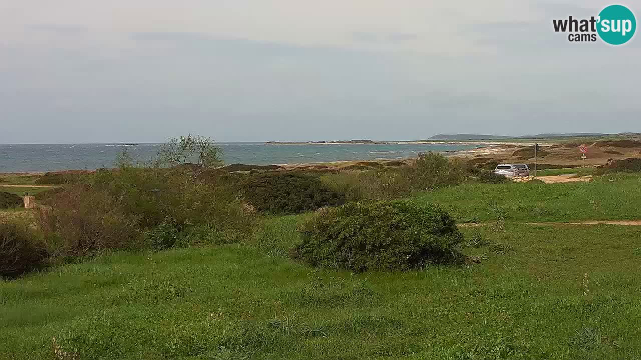 Spiaggia Mari Ermi | Is Arutas – Oristano