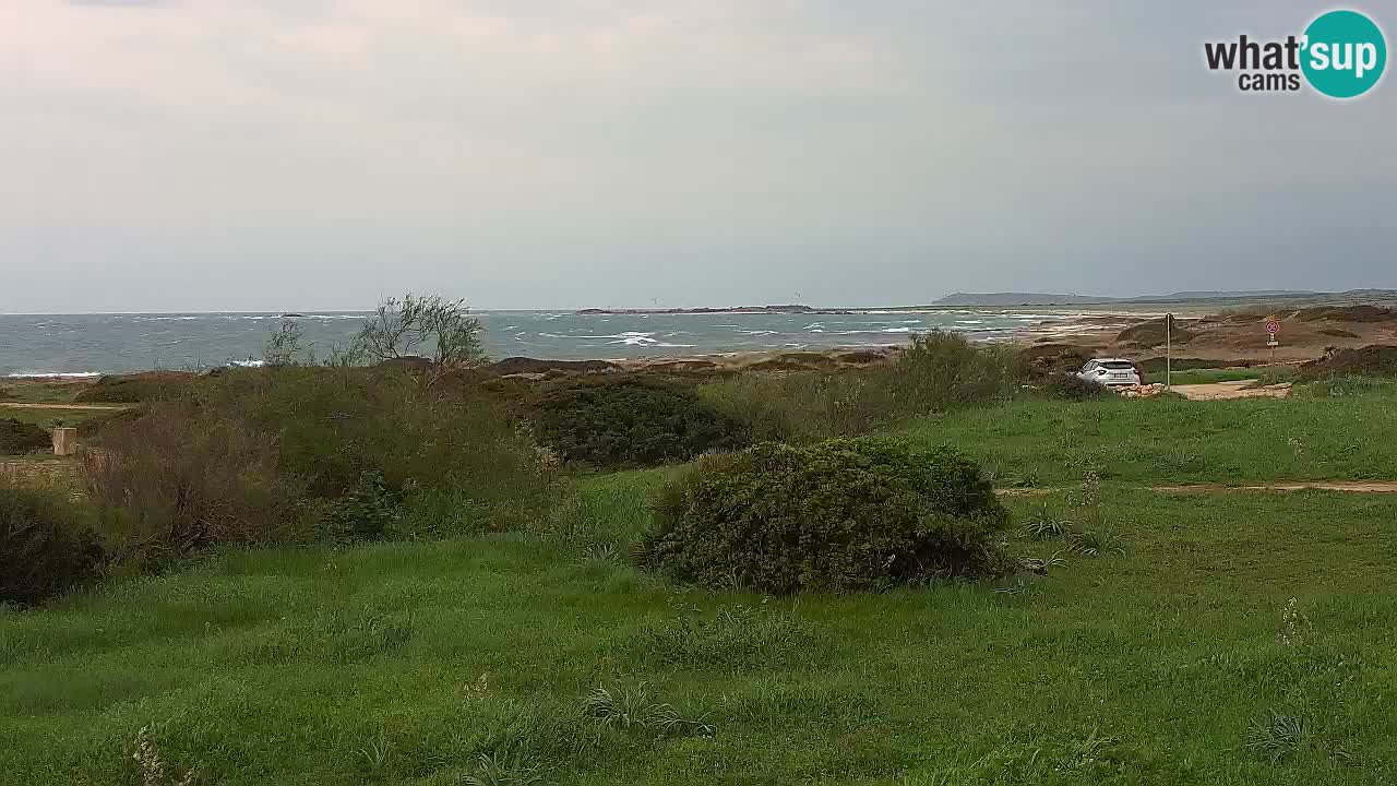 Mari Ermi Strand | Is Arutas – Oristano