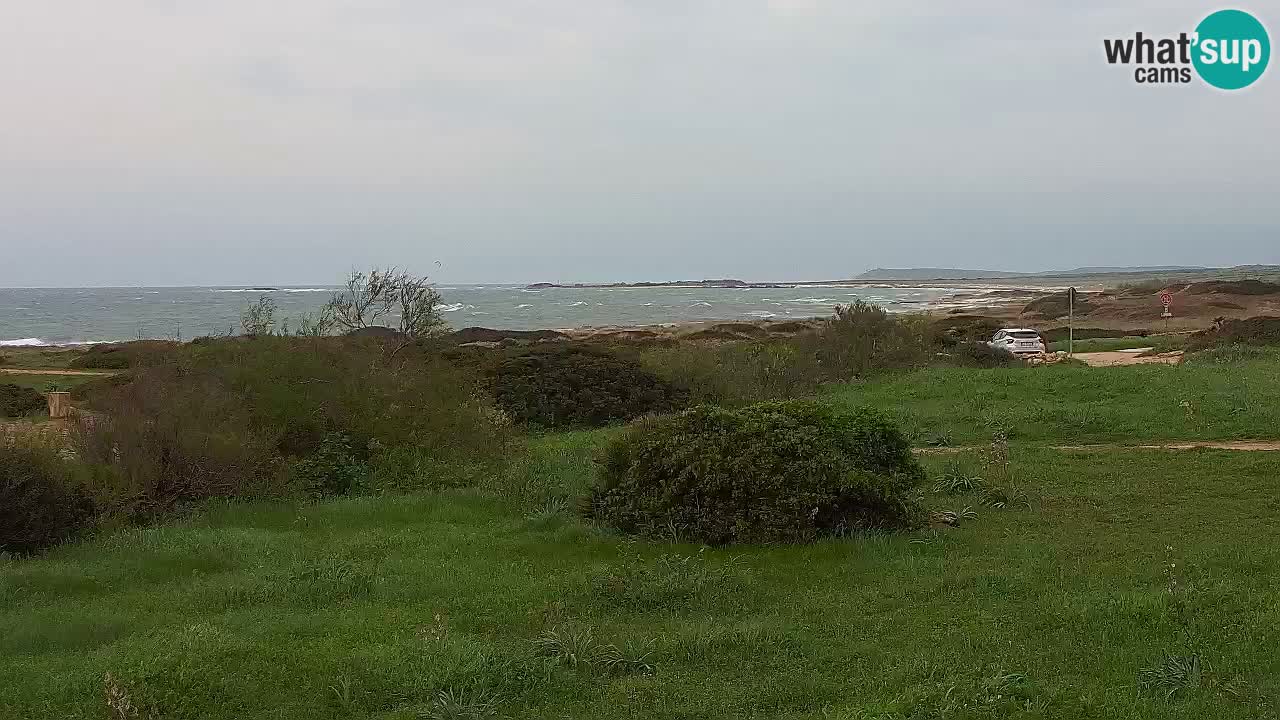 Mari Ermi Strand | Is Arutas – Oristano