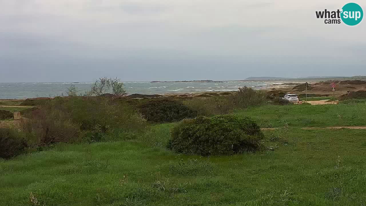 Playa Mari Ermi | Is Arutas – Oristano