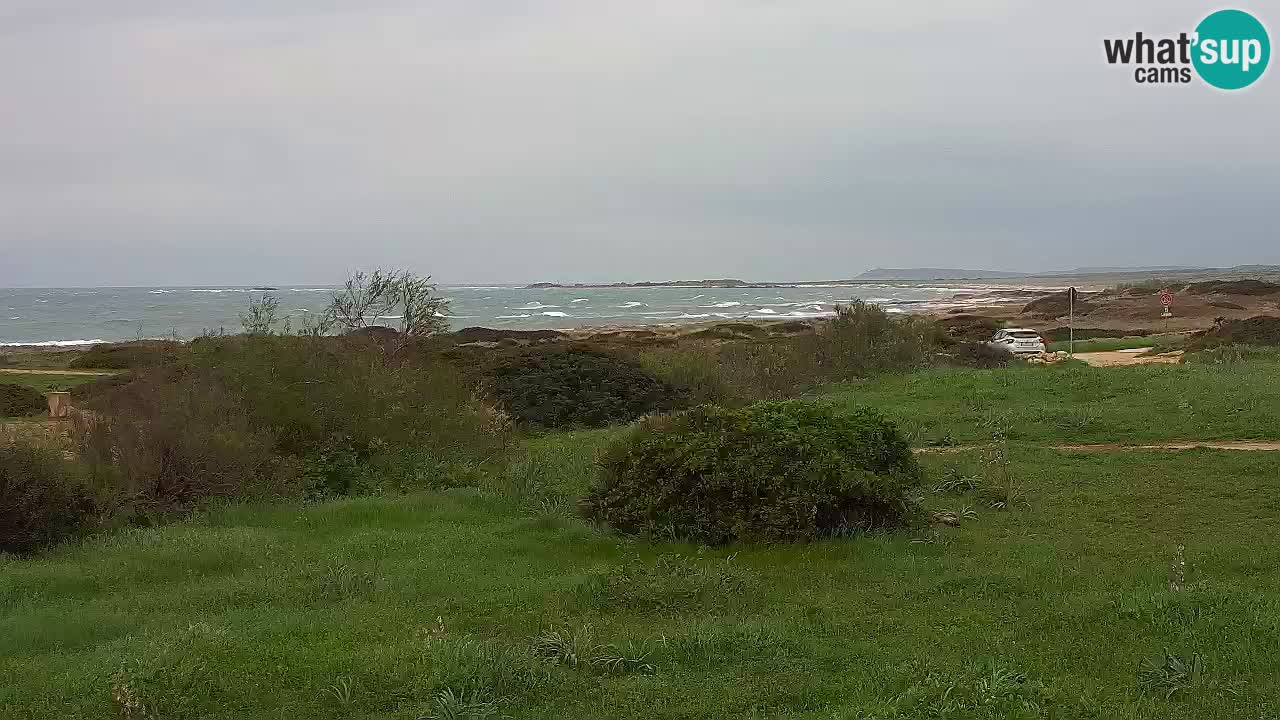Playa Mari Ermi | Is Arutas – Oristano