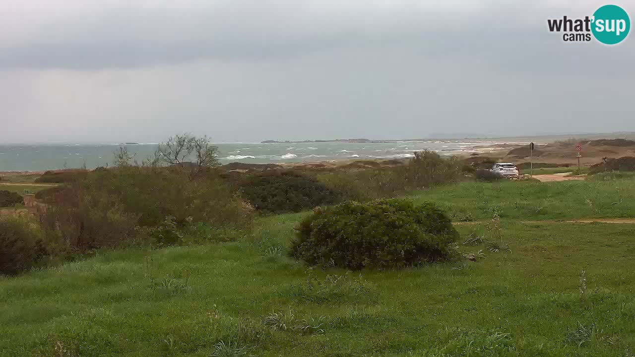 Mari Ermi Strand | Is Arutas – Oristano