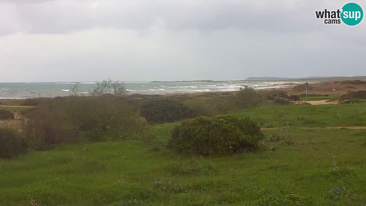 Mari Ermi Strand | Is Arutas – Oristano