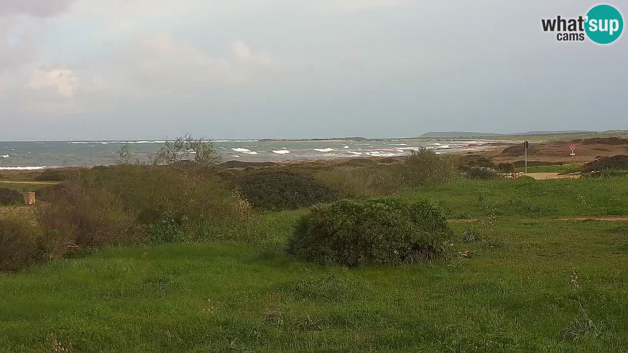 Mari Ermi beach | Is Arutas – Oristano