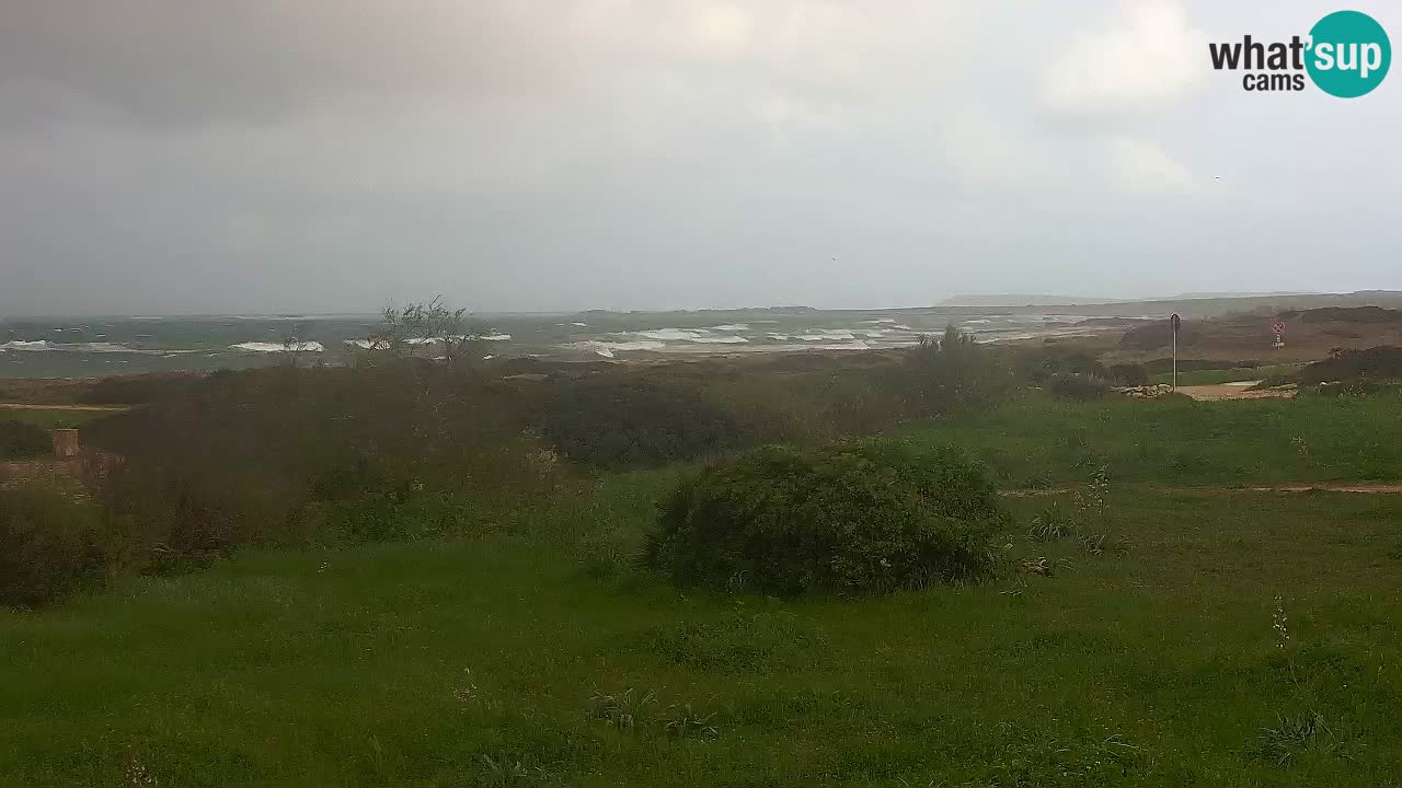 Plaža Mari Ermi | Is Arutas – Oristano