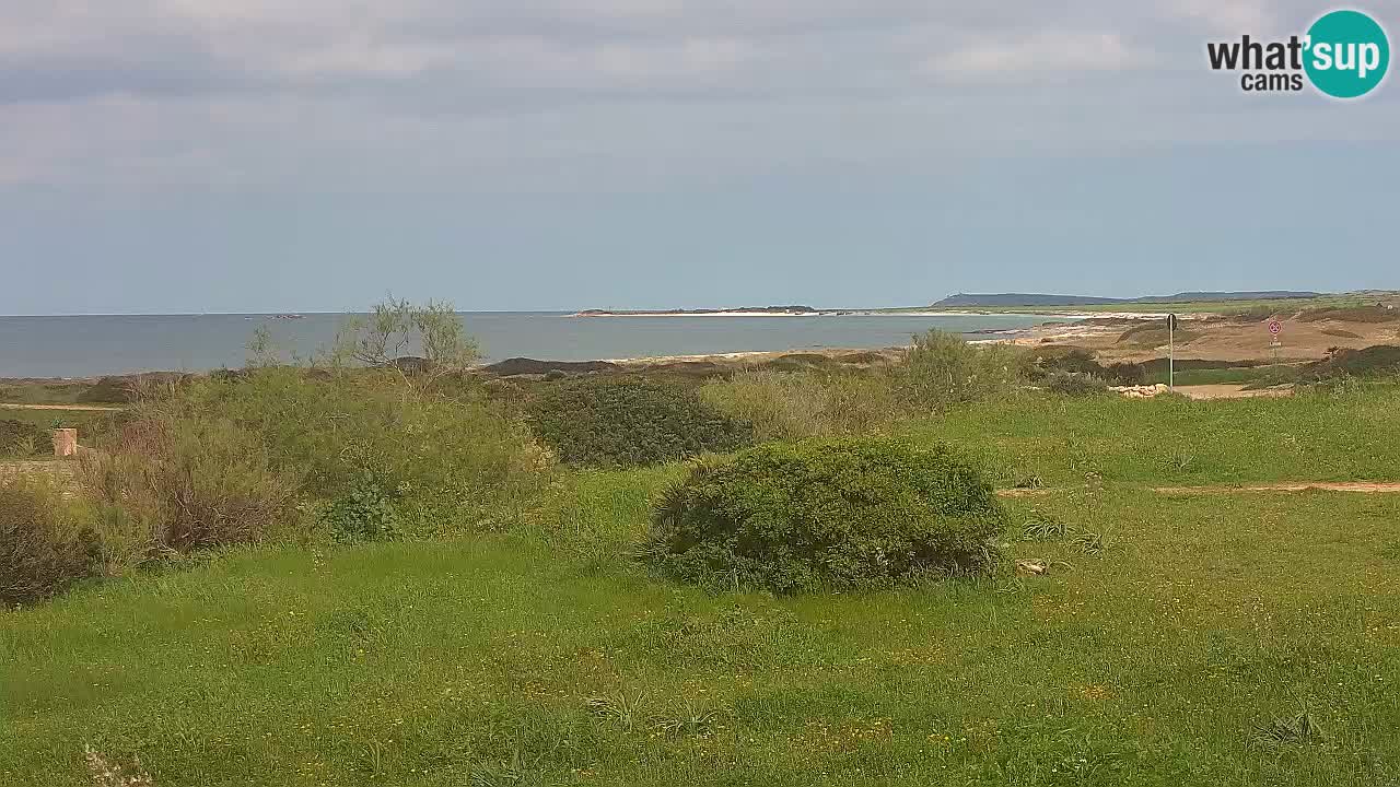 Plage Mari Ermi | Is Arutas – Oristano