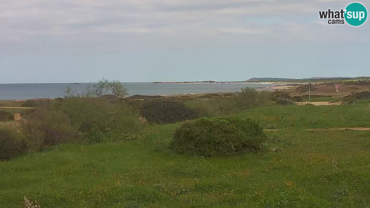 Plaža Mari Ermi | Is Arutas – Oristano