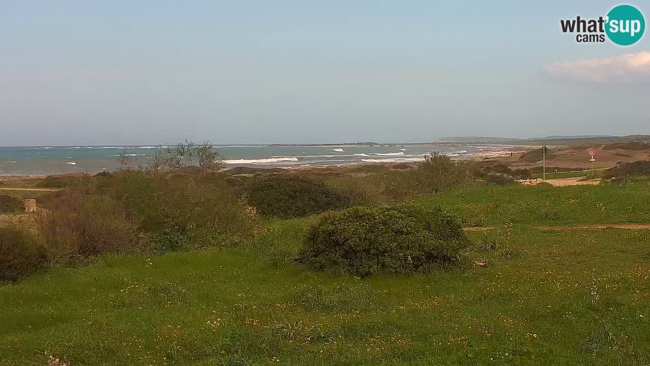 Playa Mari Ermi | Is Arutas – Oristano