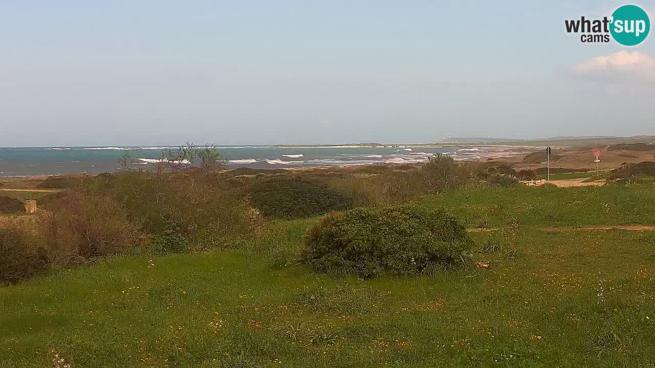 Spiaggia Mari Ermi | Is Arutas – Oristano