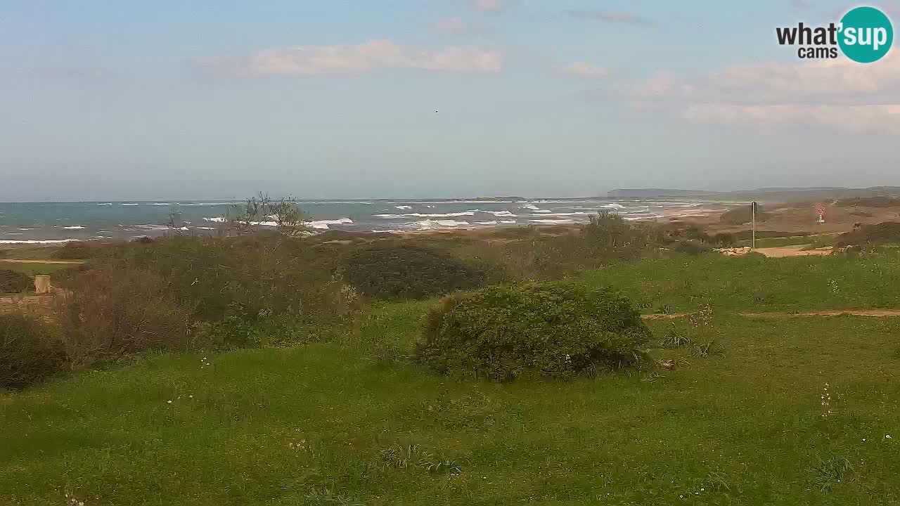 Plaža Mari Ermi | Is Arutas – Oristano