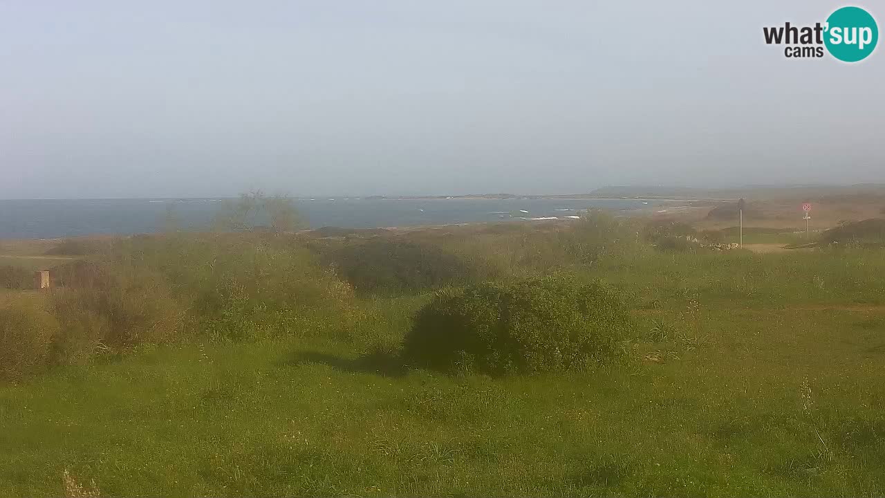 Mari Ermi Strand | Is Arutas – Oristano