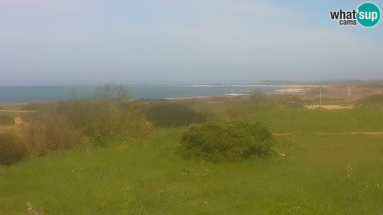 Mari Ermi Strand | Is Arutas – Oristano