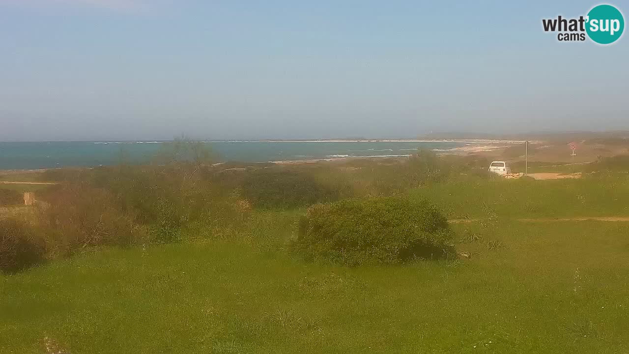 Spiaggia Mari Ermi | Is Arutas – Oristano