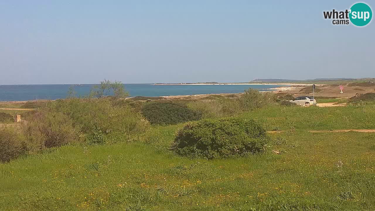 Mari Ermi Strand | Is Arutas – Oristano