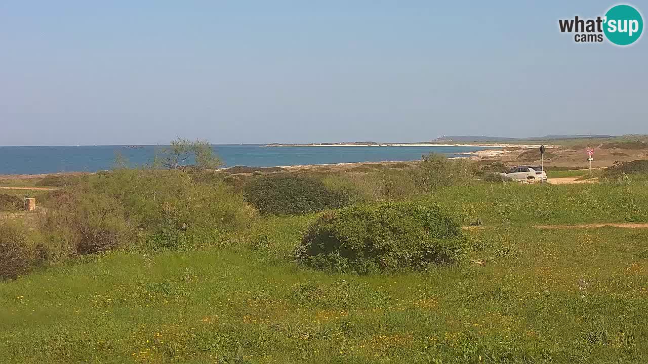 Playa Mari Ermi | Is Arutas – Oristano