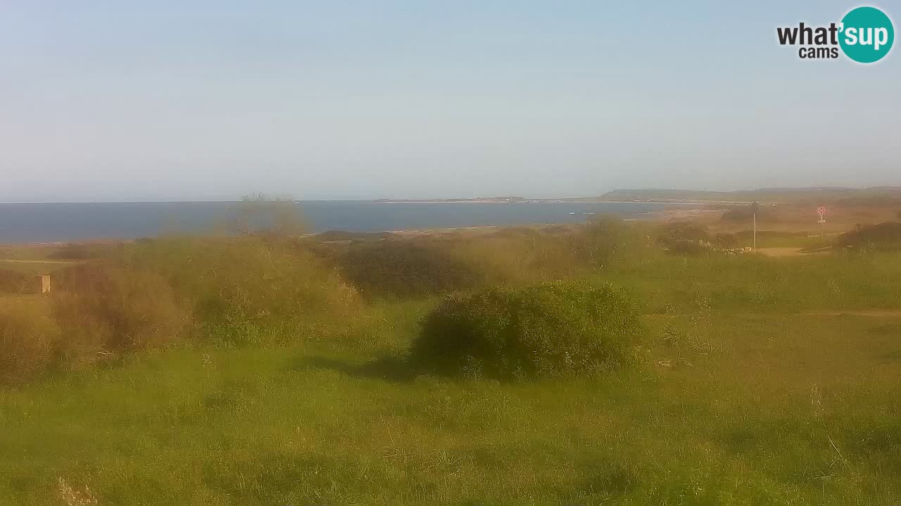 Plaža Mari Ermi | Is Arutas – Oristano