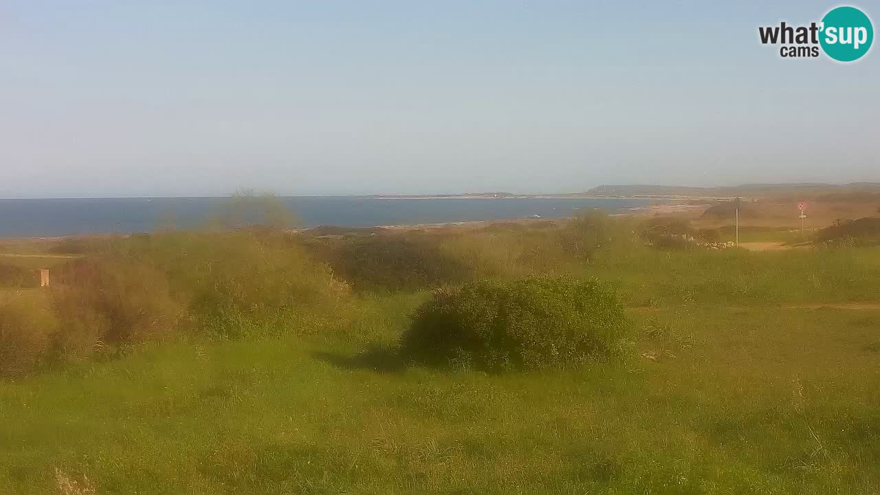Playa Mari Ermi | Is Arutas – Oristano