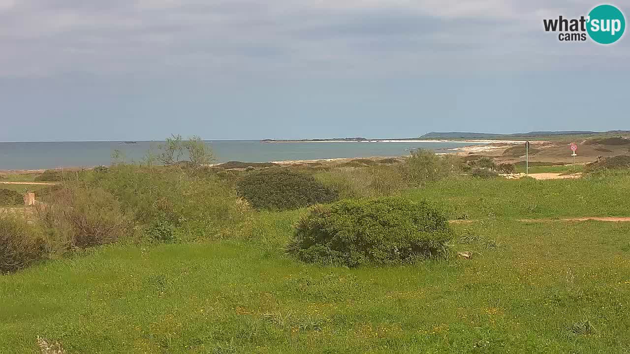 Mari Ermi beach | Is Arutas – Oristano
