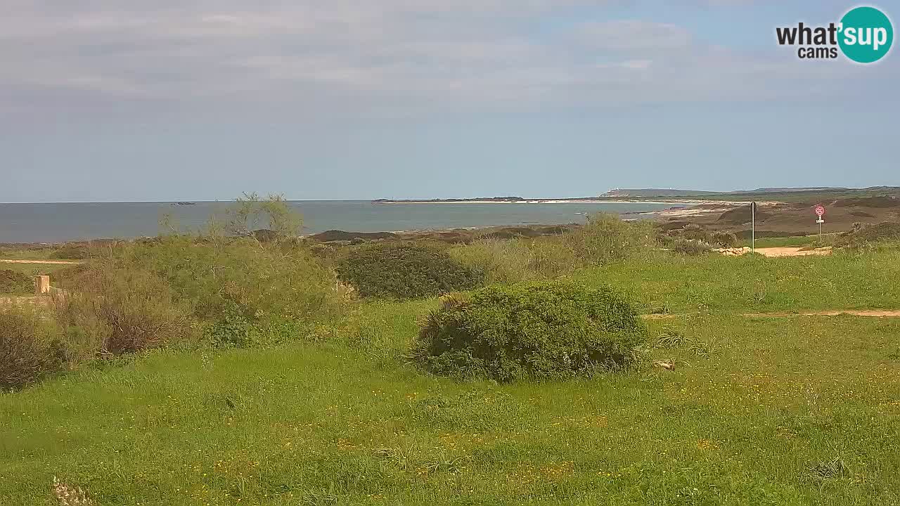 Spiaggia Mari Ermi | Is Arutas – Oristano