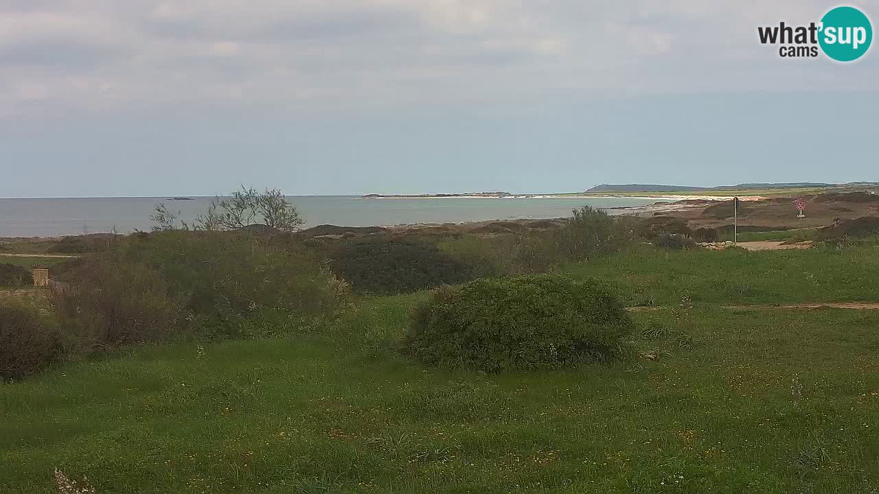 Mari Ermi beach | Is Arutas – Oristano