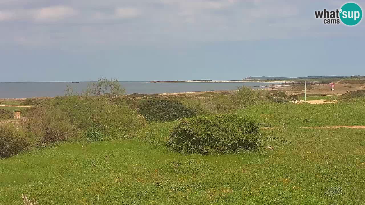 Mari Ermi beach | Is Arutas – Oristano