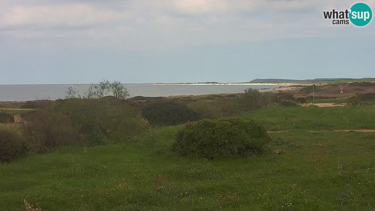 Plaža Mari Ermi | Is Arutas – Oristano