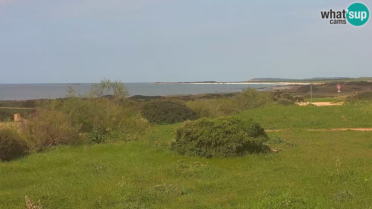 Spiaggia Mari Ermi | Is Arutas – Oristano