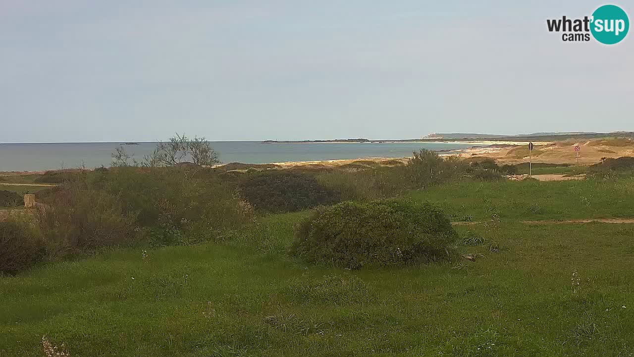 Mari Ermi Strand | Is Arutas – Oristano