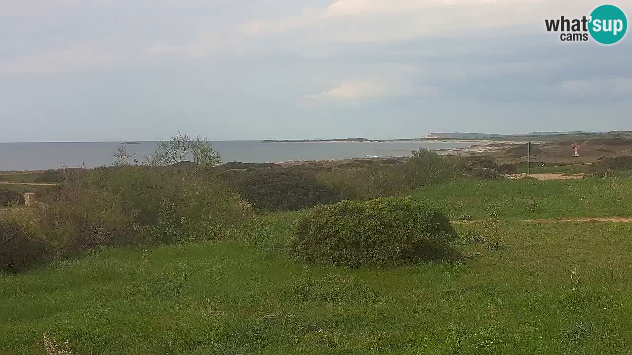 Plaža Mari Ermi | Is Arutas – Oristano