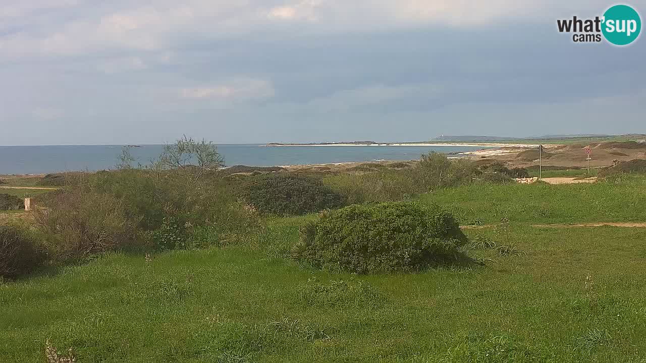 Spiaggia Mari Ermi | Is Arutas – Oristano