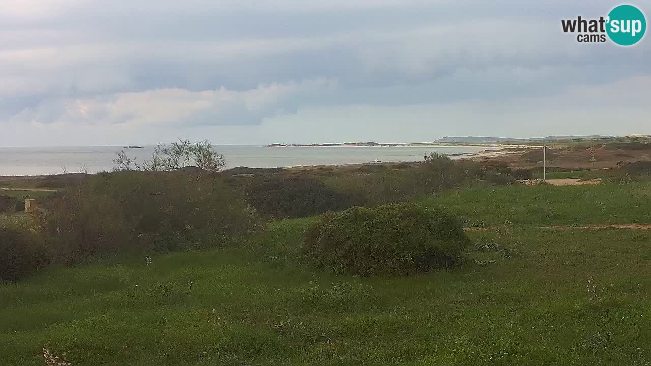 Playa Mari Ermi | Is Arutas – Oristano