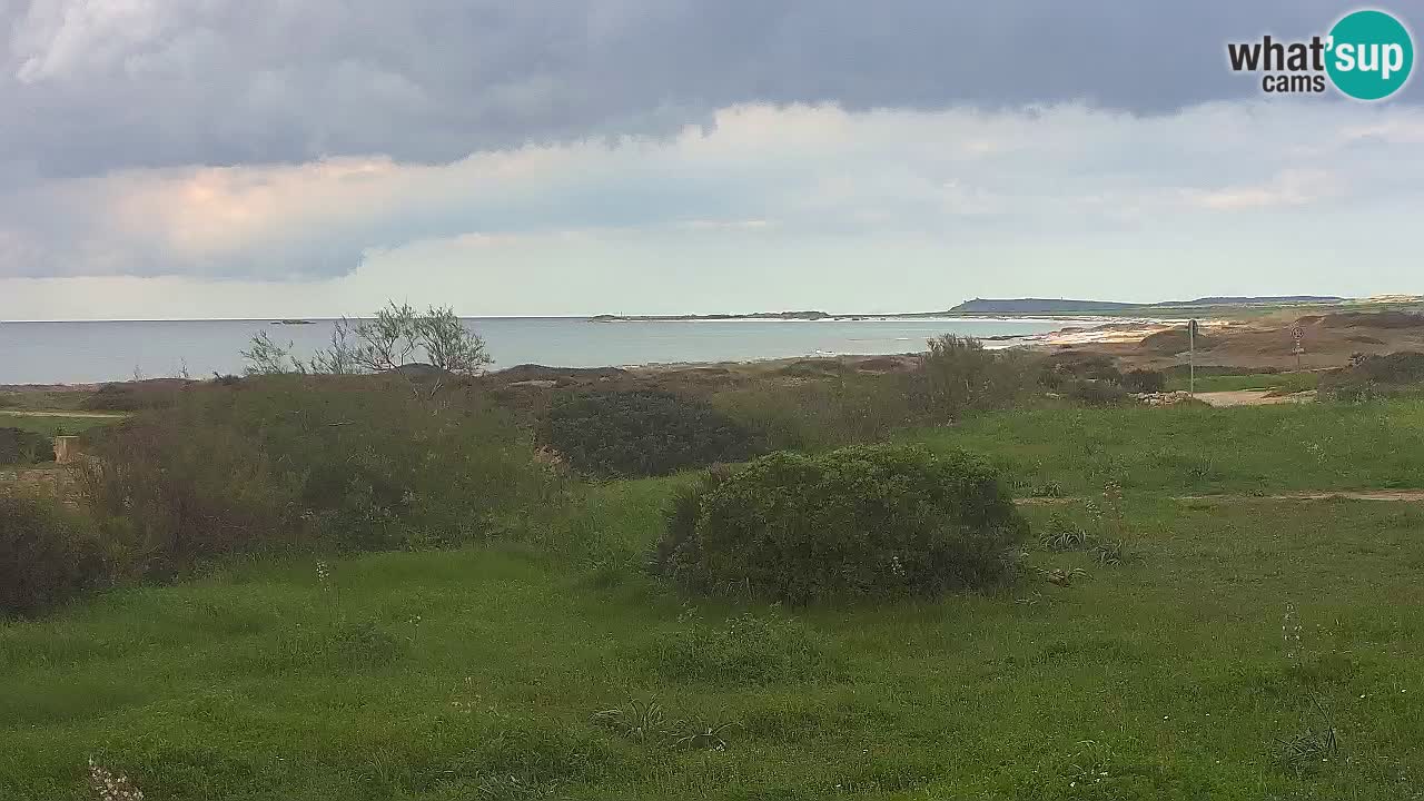 Mari Ermi Strand | Is Arutas – Oristano