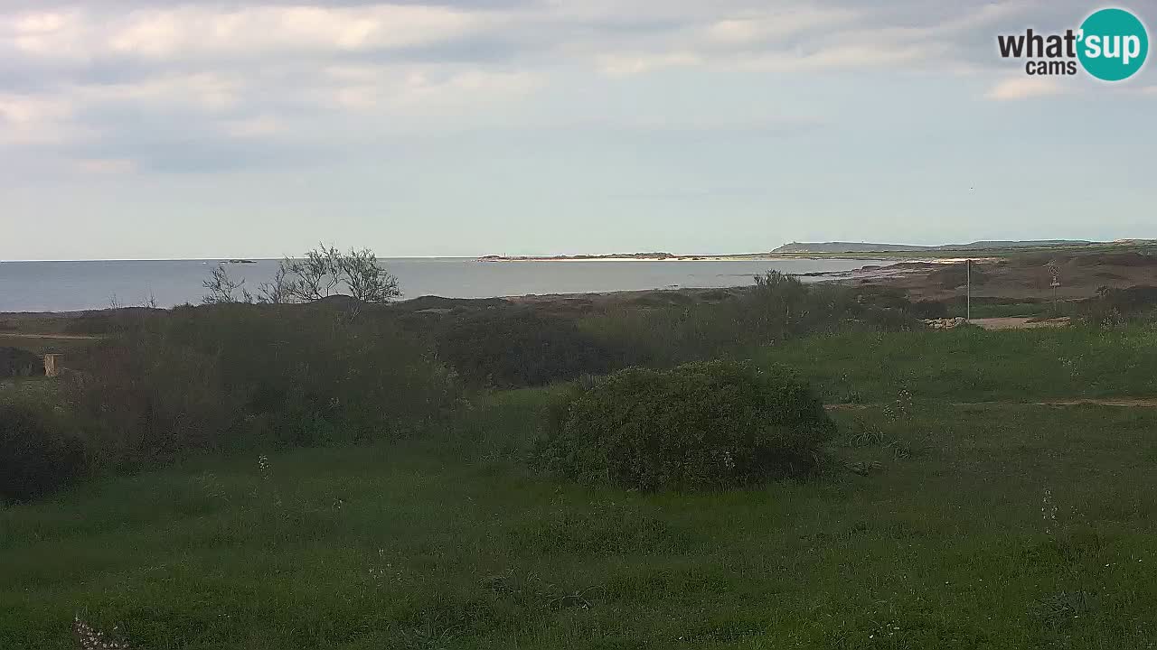 Plaža Mari Ermi | Is Arutas – Oristano