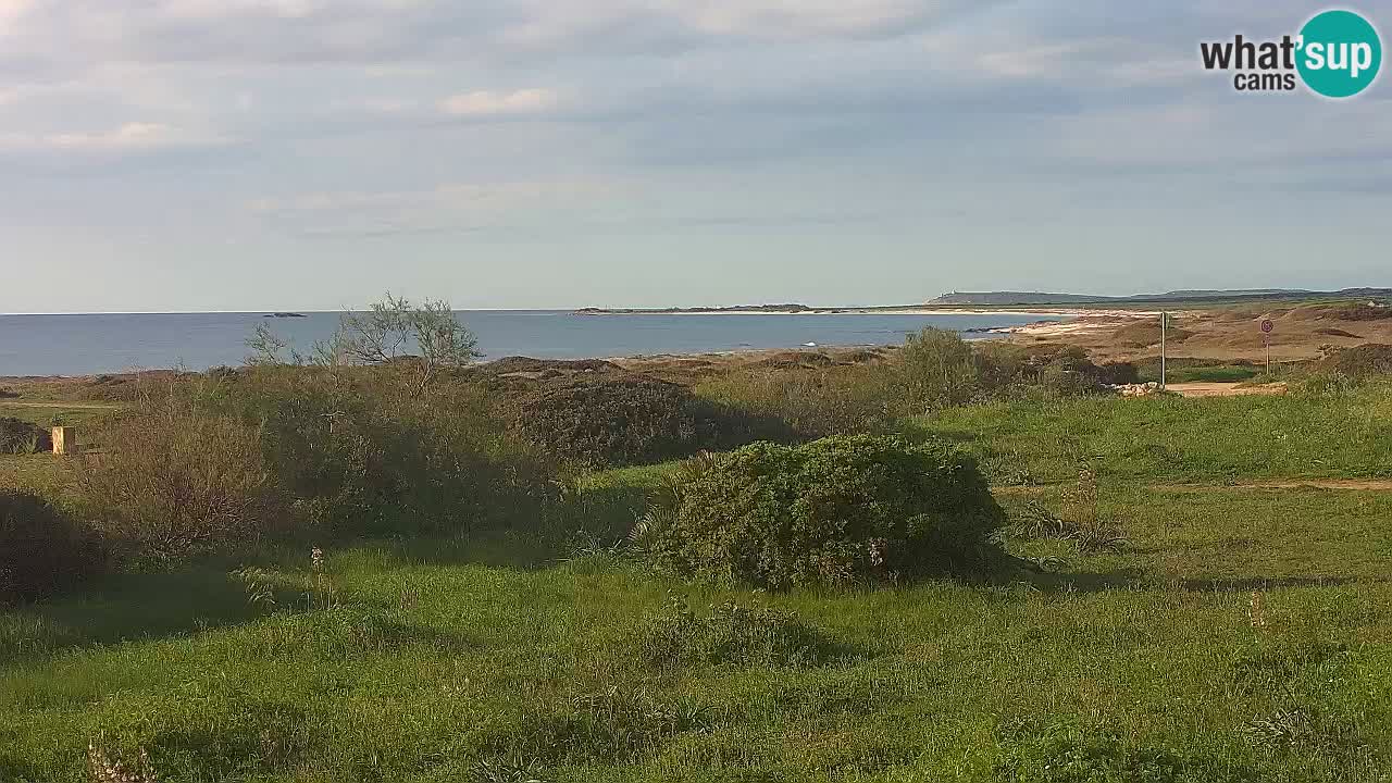 Playa Mari Ermi | Is Arutas – Oristano