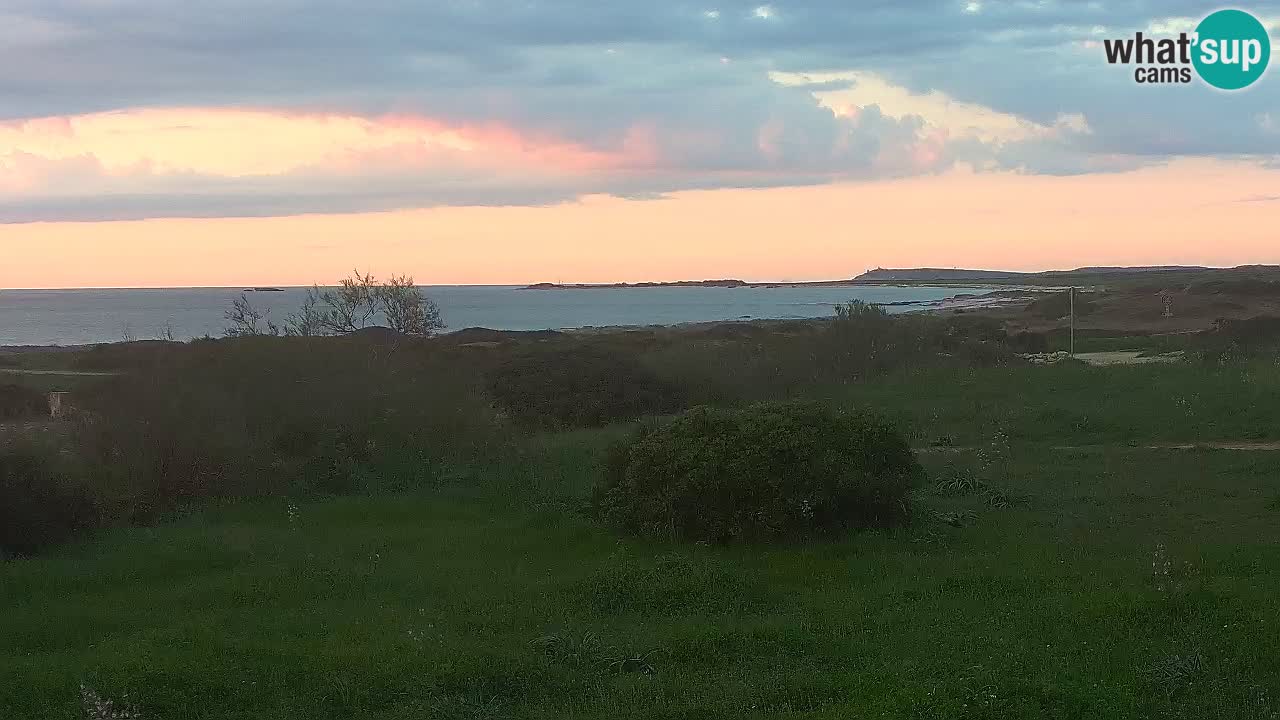 Mari Ermi Strand | Is Arutas – Oristano