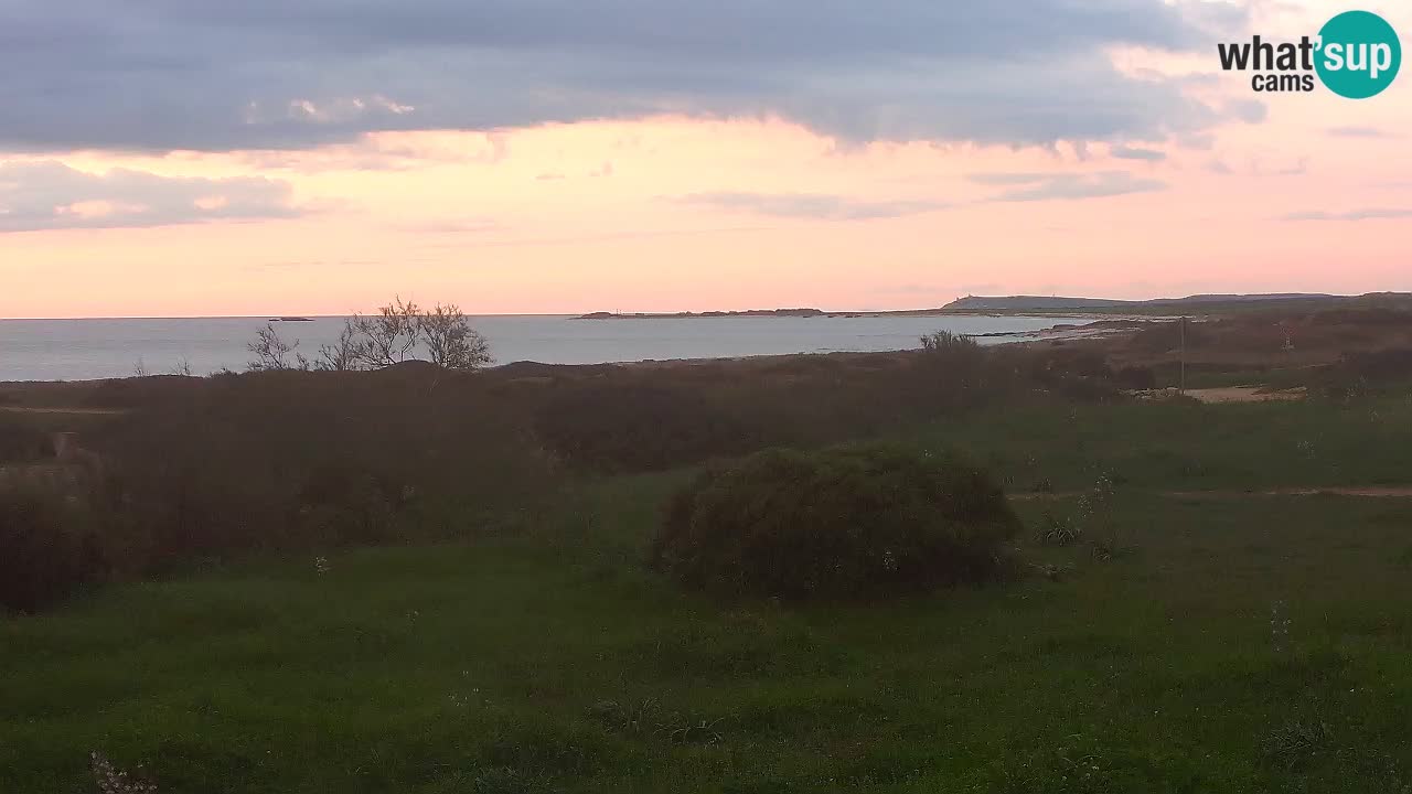 Playa Mari Ermi | Is Arutas – Oristano