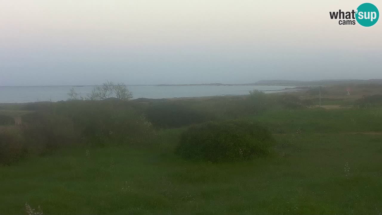 Plaža Mari Ermi | Is Arutas – Oristano