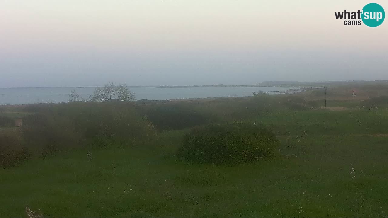 Plaža Mari Ermi | Is Arutas – Oristano